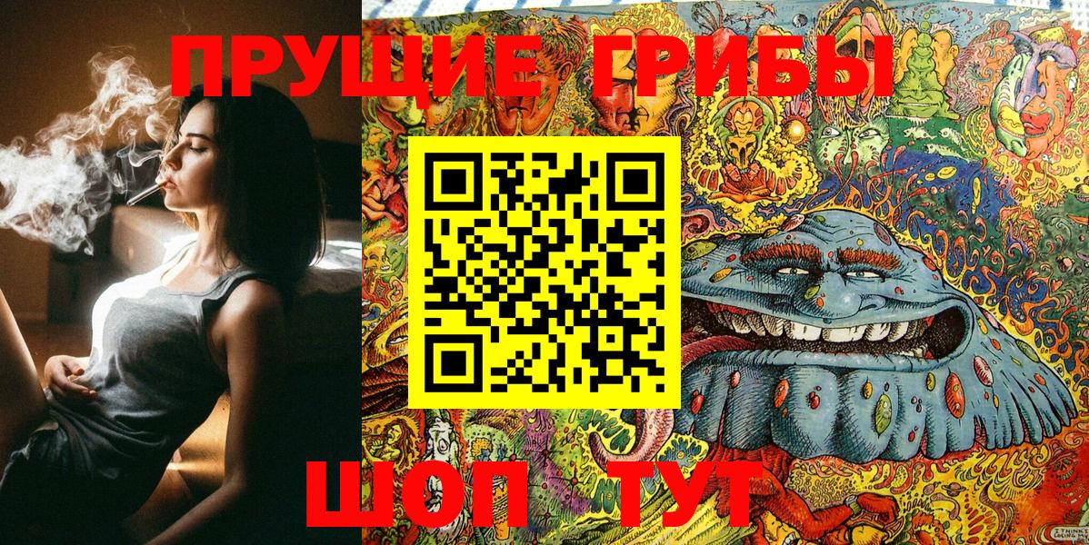 Дивногорск  Псилоцибиновые грибы MAGIC MUSHROOMS  Вход с VPN 