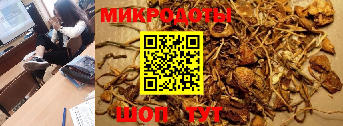 Псилоцибиновые грибы мухоморы Дивногорск