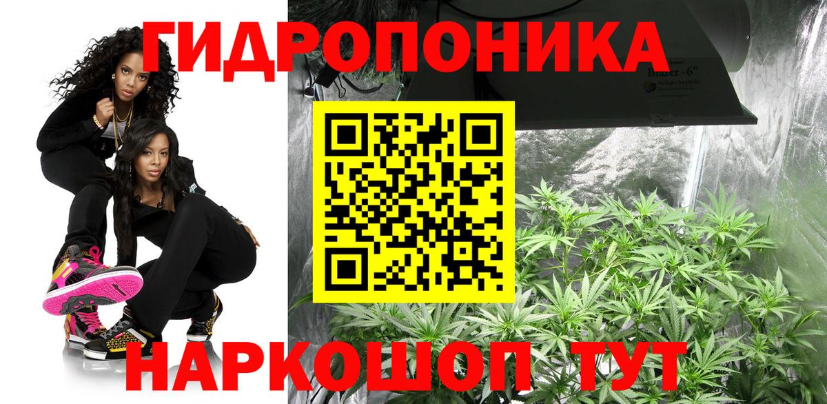 Марихуана индика  Канабис AK-47  Бошки марихуана план  Дивногорск  Вход с VPN 